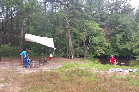 Wharton State Forest - Bodine Field