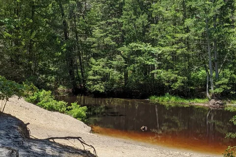 Wharton State Forest - Bodine Field