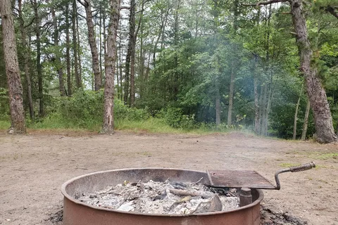 Wharton State Forest - Bodine Field