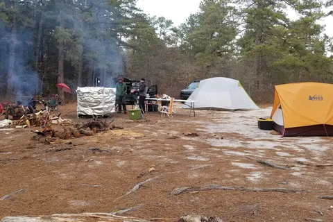 Wharton State Forest - Bodine Field