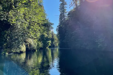 Lake Mayfield RV Resort and Marina