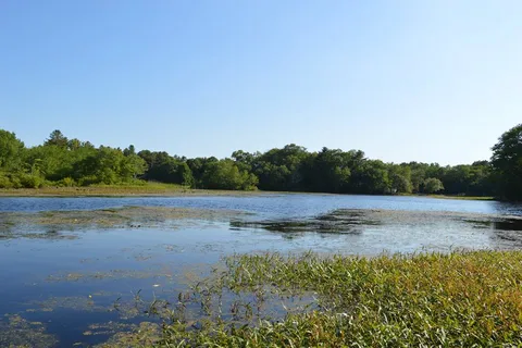 Nature's Campsites