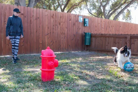 Bluebonnet RV Resort