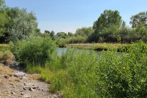 Beaverhead River RV Park and Campground