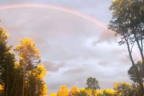 Peaceful Pines Resort