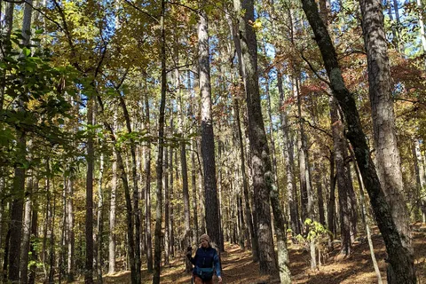 White Oak Lake State Park