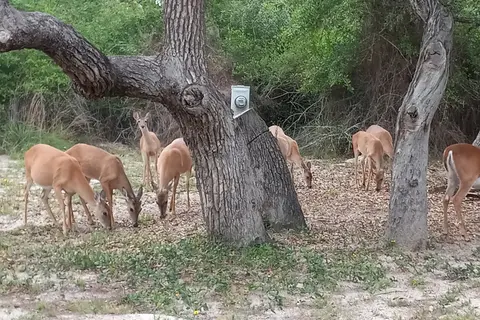 Hidden Oaks RV Resort