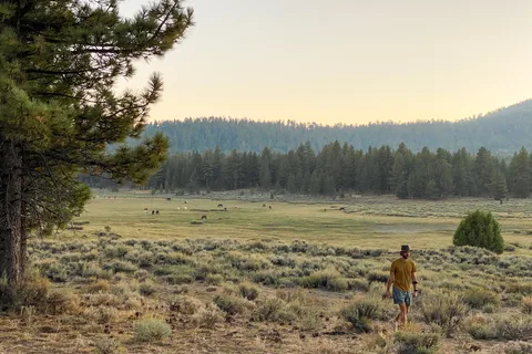 Holcomb Valley Ranch