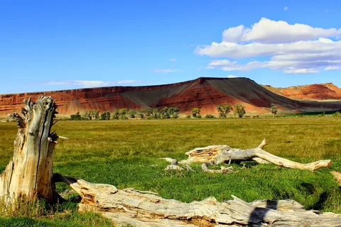 Medicine Lodge Archaeological Site