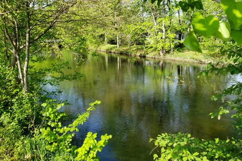 Walnut Hills Family Campground
