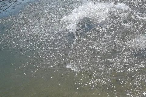 Nine Eagles State Park
