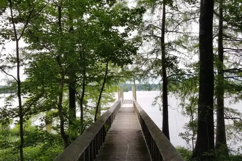 Lake D Arbonne State Park