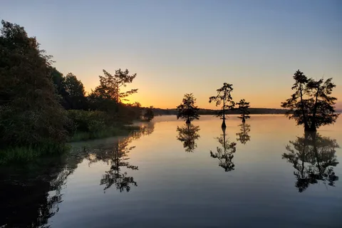 Lake D Arbonne State Park