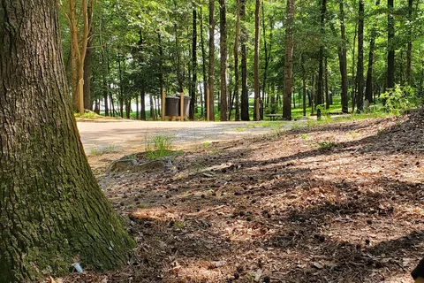 Lake D Arbonne State Park
