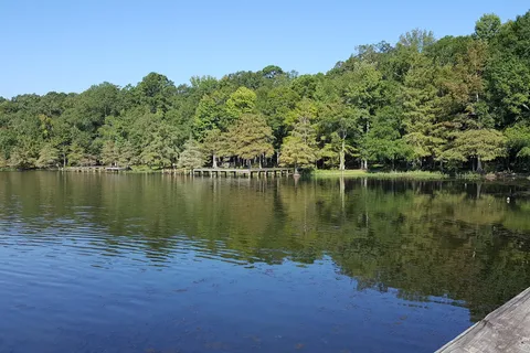 Lake D Arbonne State Park