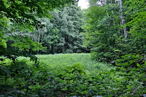 Little River State Park