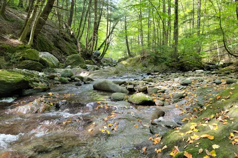 Little River State Park