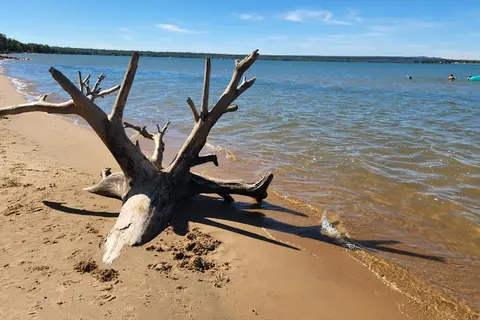 Brimley State Park