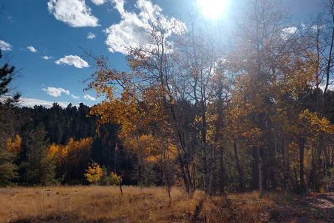 Golden Bell Camp and Conference Center