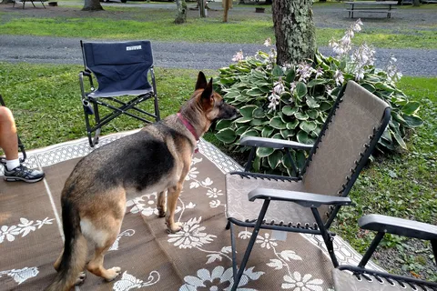 Four Seasons Campgrounds