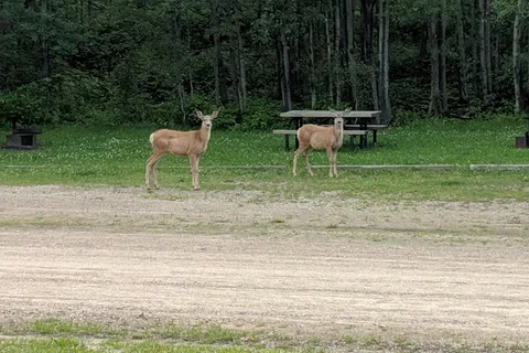 Long Lake Provincial Park