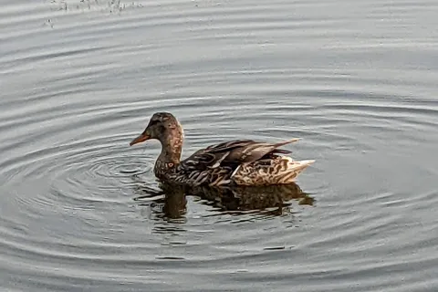 Long Lake Provincial Park