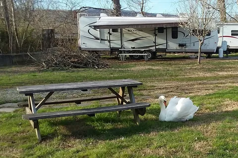 Around Pond RV Park
