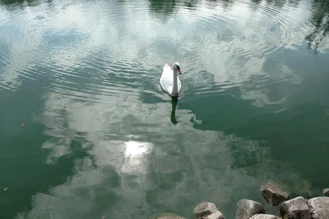 Around Pond RV Park