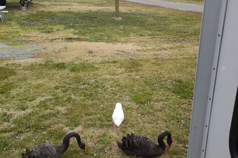 Around Pond RV Park