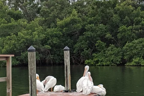 Sarasota Bay RV Park