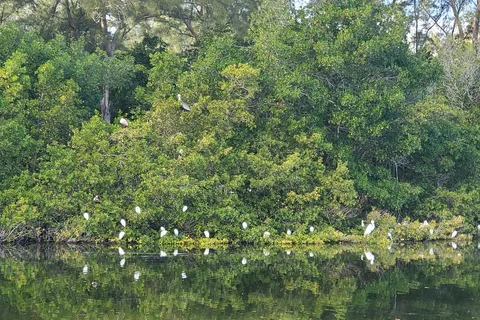 Sarasota Bay RV Park