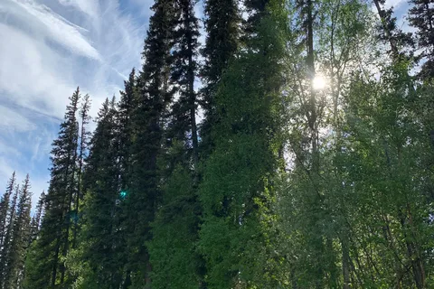Red Squirrel Campground