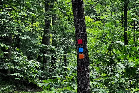 Cedar Creek State Park