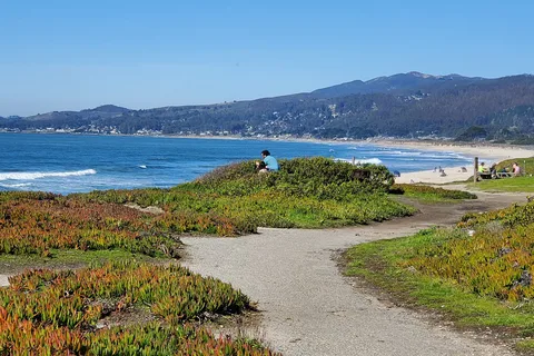 Francis Beach and Campground - Half Moon Bay State Beach