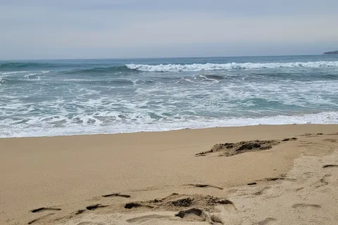 Francis Beach and Campground - Half Moon Bay State Beach