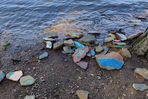Allatoona Campground and Beach