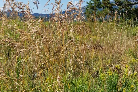 Dutch Hill - Steamboat Lake State Park