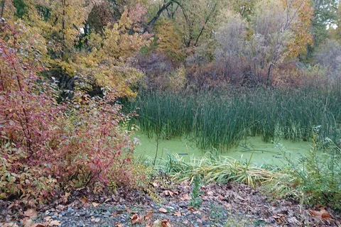 Yakima Sportsman State Park