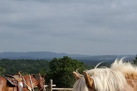2E Twin Elm Guest Ranch