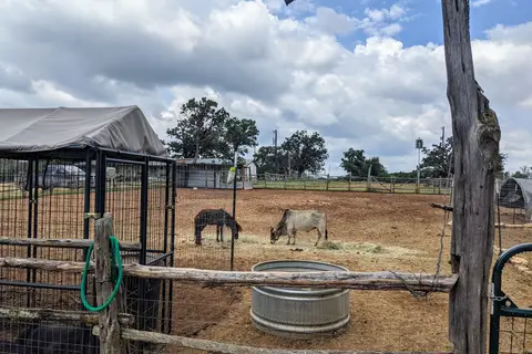 2E Twin Elm Guest Ranch