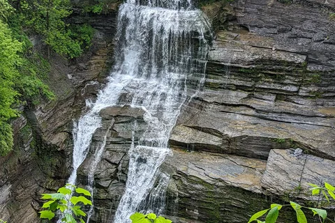 Robert H Treman State Park
