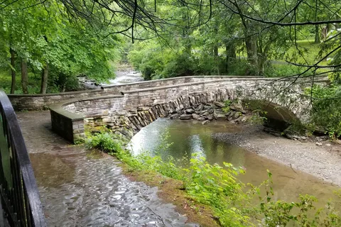 Robert H Treman State Park