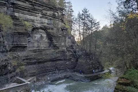 Robert H Treman State Park