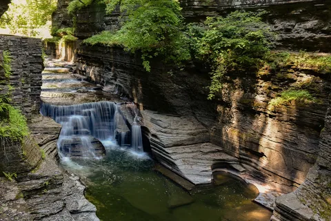 Robert H Treman State Park