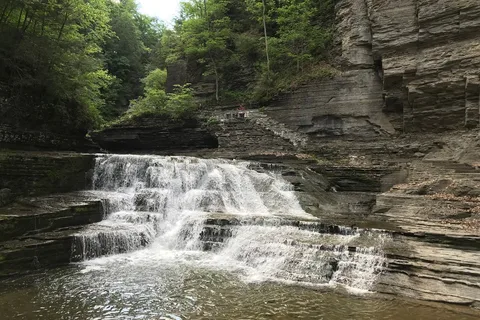 Robert H Treman State Park