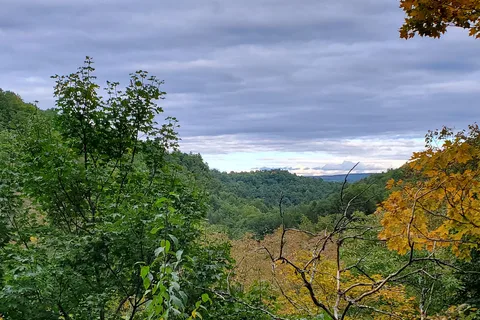 Robert H Treman State Park