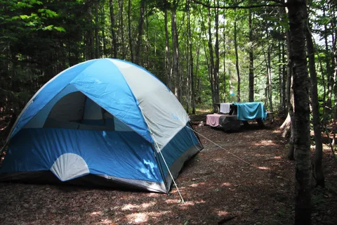 Camping La Cedriere