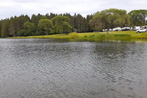 Shamrock Pines Campground