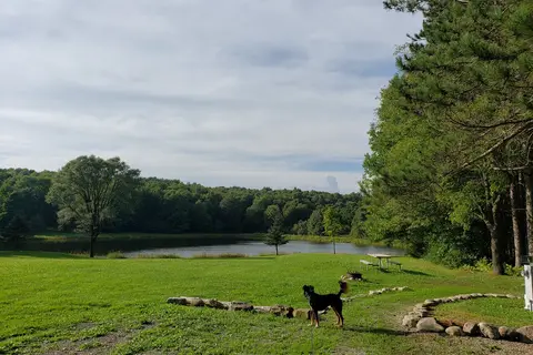 Shamrock Pines Campground