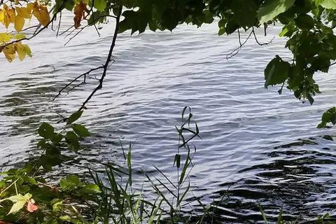 Pickerel Lake West State Recreation Area